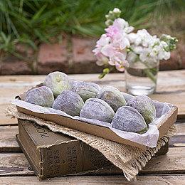 《棋弈无限：中国象棋》正式发售 首发价格35.1元